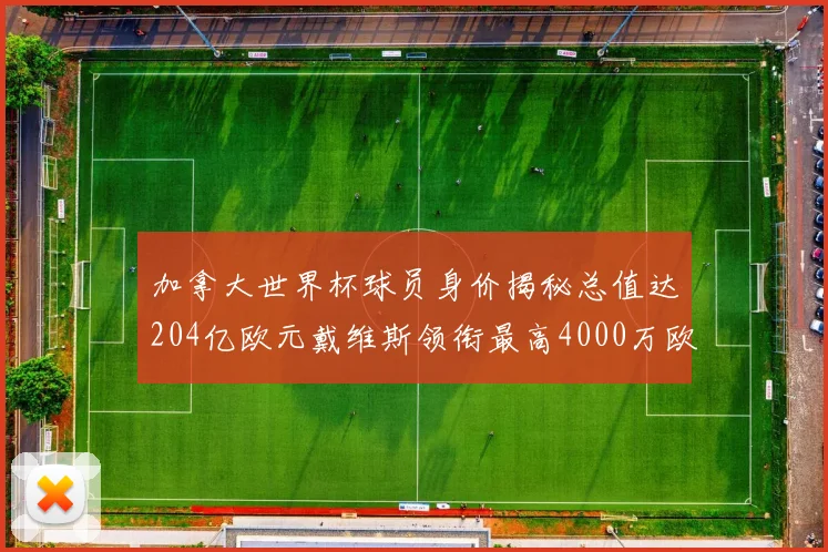 加拿大世界杯球员身价揭秘总值达204亿欧元戴维斯领衔最高4000万欧